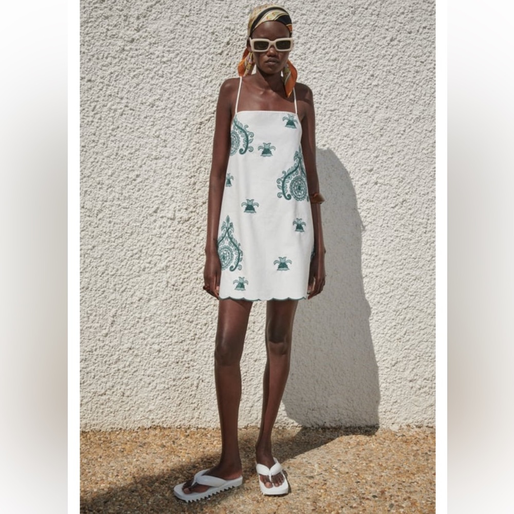Zara Embroidered Mini Dress